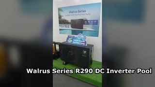 ওয়ালরাস সিরিজ R290 DC বৈদ্যুতিন সংকেতের মেরু বদল পুল তাপ পাম্প